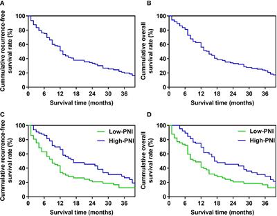 Effect of the preoperative prognostic nutritional index on the long-term prognosis in patients with borderline resectable pancreatic cancer after pancreaticoduodenectomy